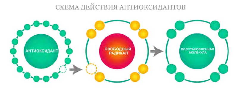 Механизм действия антиокислительных присадок